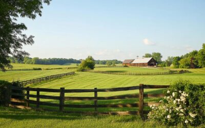 Discover Stunning Country Wedding Venues with a Focus on Charm and Tradition