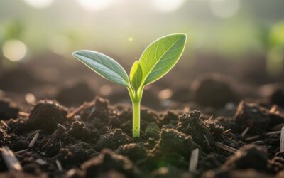 Be growth: how cross-industry innovation drives sustainable business expansion